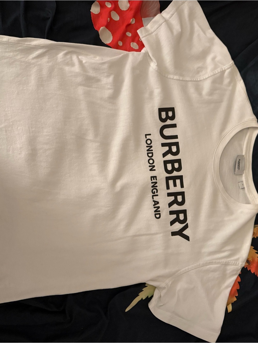Burberry White T-Shirt with Black Vertical Logo - Men's
